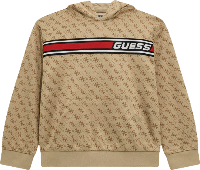 Big Boys Hooded Quatro G Sweatshirt