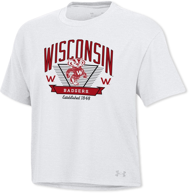 Women's White Wisconsin Badgers Essentials Icon Ultra-Soft Tri-Blend Boxy Cropped T-Shirt