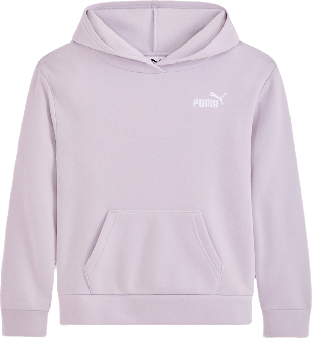 PUMA Basic Essentials Big Hoodie, Kids