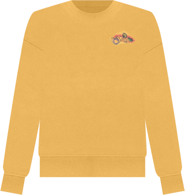 Men's Embroidered sweatshirt