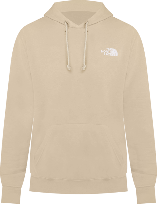 The North Face Evolution Box Logo Hoodie – DTLR