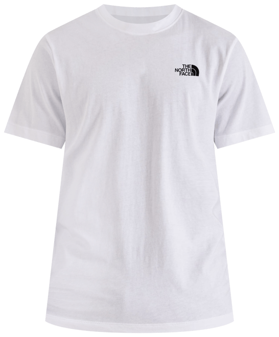 The North Face Evolution Box Logo Tee