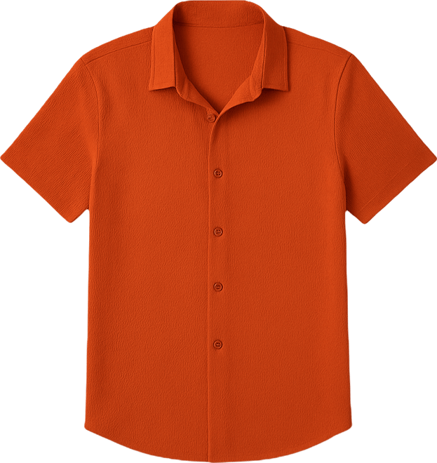 Men's Burnt Orange Textured Regular Fit Casual Shirt