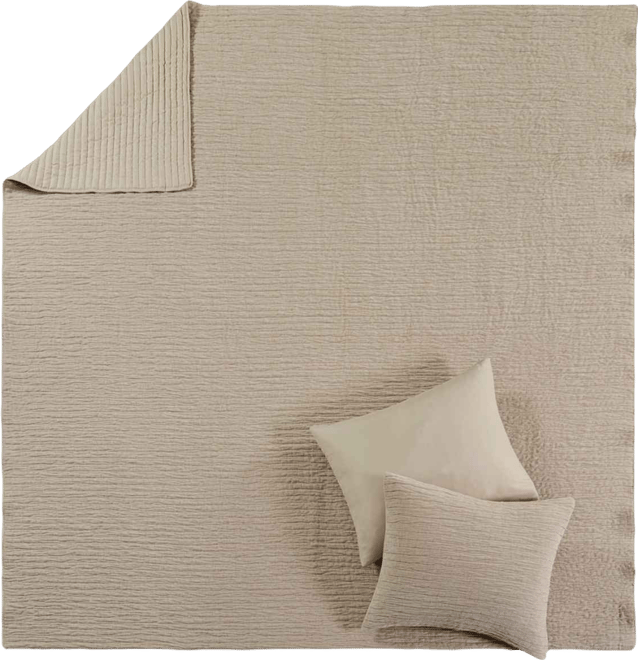 Velvet Crush Textured 2-Pc. Quilt Set, Twin