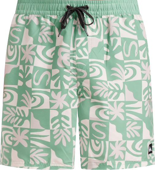 Men's Everyday Volley Terra Swim Shorts