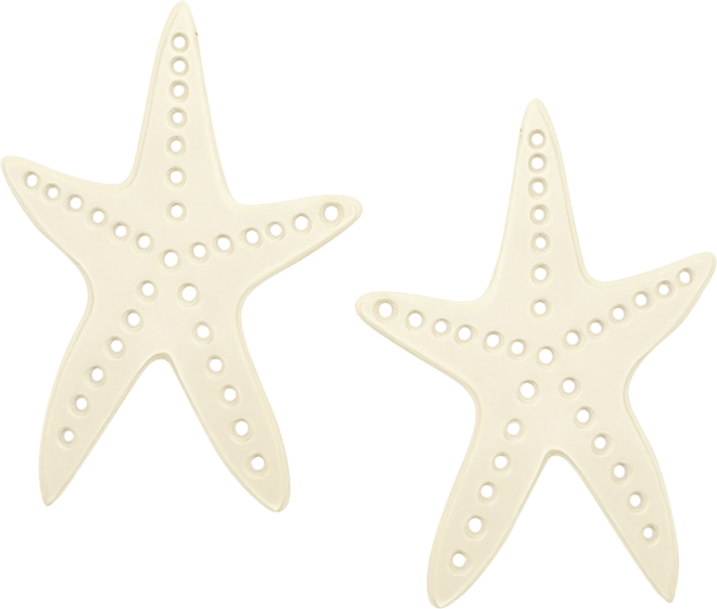 Starfish Stud Earrings