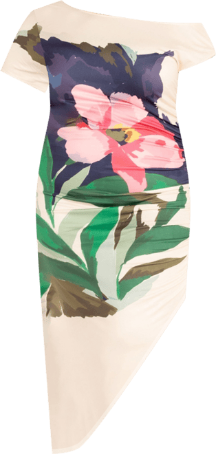 Women's Plus Size Print One Shoulder Asymmetrical Dress