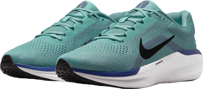 Nike Winflo 11 รองเท้าวิ่งโร้ดรันนิ่งผู้ชาย