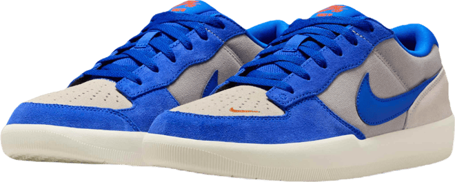 Nike SB Force 58 Skate Shoes