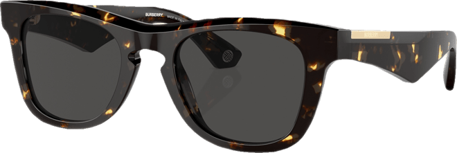 Men's Sunglasses, BE4426