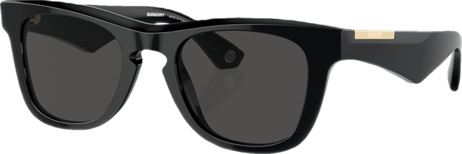 Men's Sunglasses, BE4426