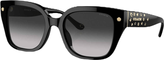 Women's Sunglasses, Cr611 Hc8392U