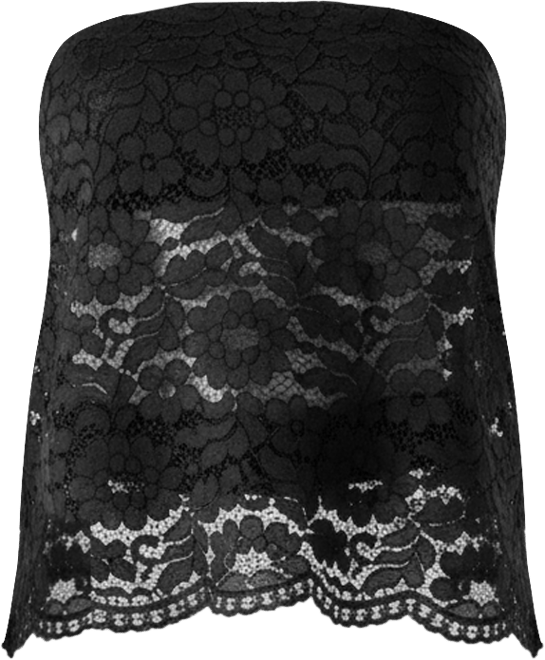 Women's Bandeau Lace Tailored Top