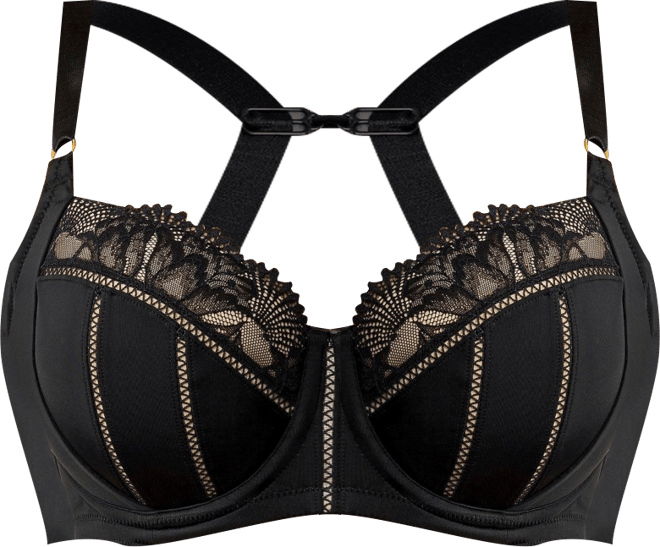 Women's Charlene Padded Balconette Bra, Warm Sand, 40H