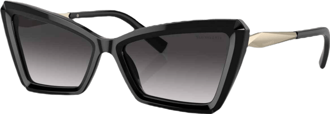 Women's Sunglasses, Gradient TF4203