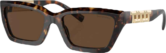 Women's Sunglasses TF4213