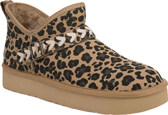 (取寄) ブローフィッシュ マリブ レディース  Blowfish Malibu women Mokolo Leopard Print Faux Suede Blowfish Malibu Women's Mokolo Round Toe Pull On Platform Short