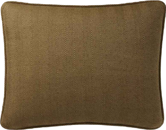 Norris Soft Cotton Decorative Pillow, 15" x 20"