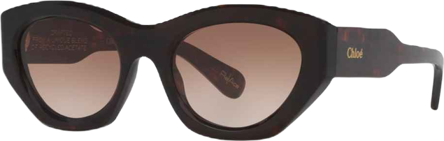 Women's Cat Eye Sunglasses, CH0220S 6N000523