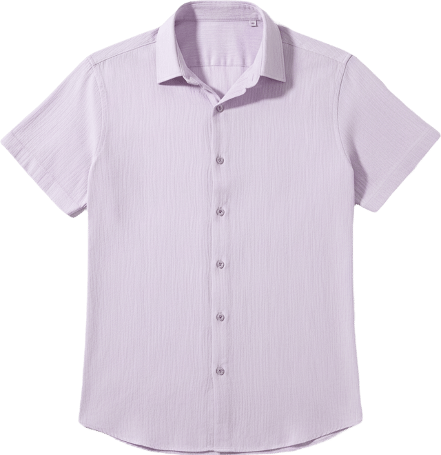 Men's Lavender Textured Regular Fit Casual Shirt