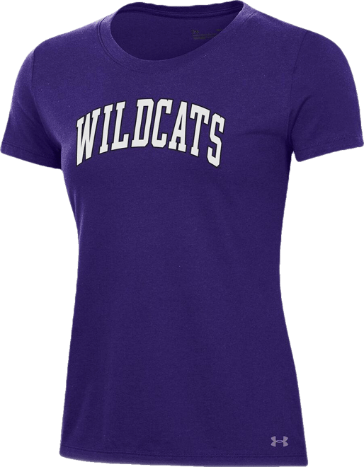 Women's Purple Northwestern Wildcats Essentials 2-Hit Performance T-Shirt