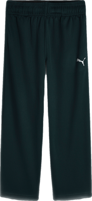 PUMA Active Essentials Sweatpants, Toddlers