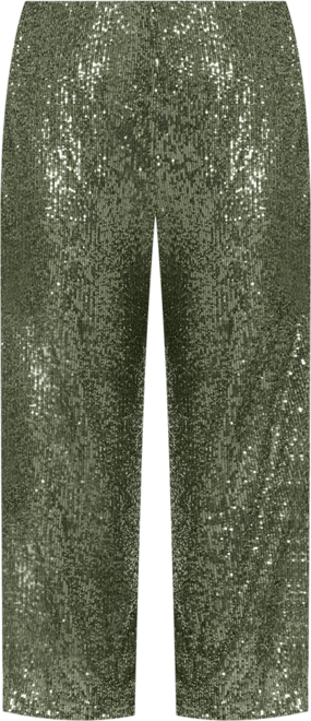 Plus Size Sequin Pull On Pants