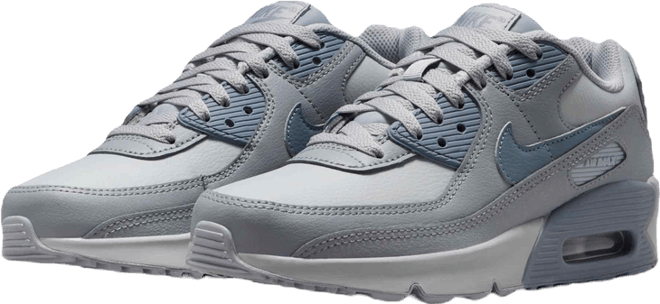 Nike Air Max 90 LTR Older Kids' Shoes