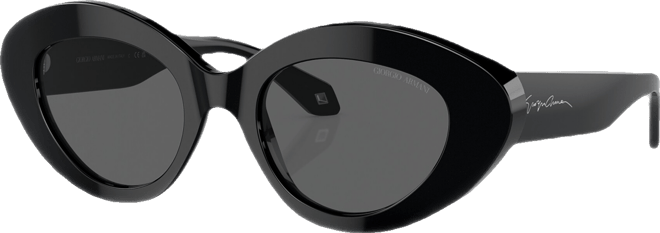 Women's Sunglasses, AR8188