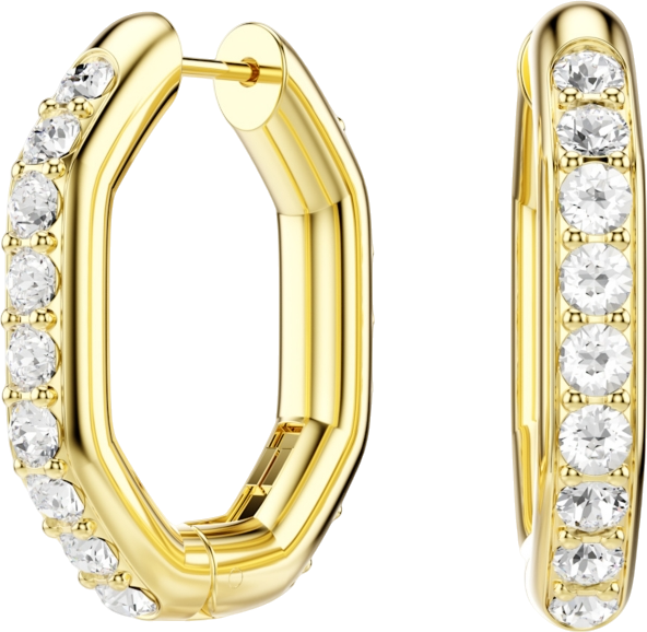 Dextera Rhodium Plated Hoop Earrings