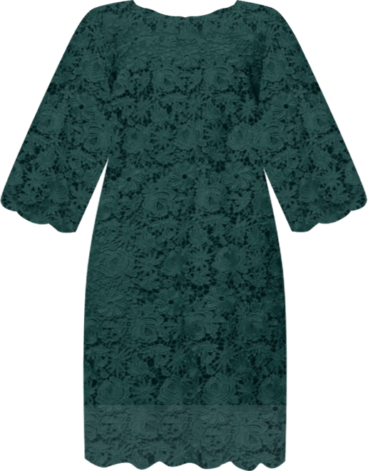 June + Vie Women's June + Vie Bell-Sleeve Lace Midi Dress