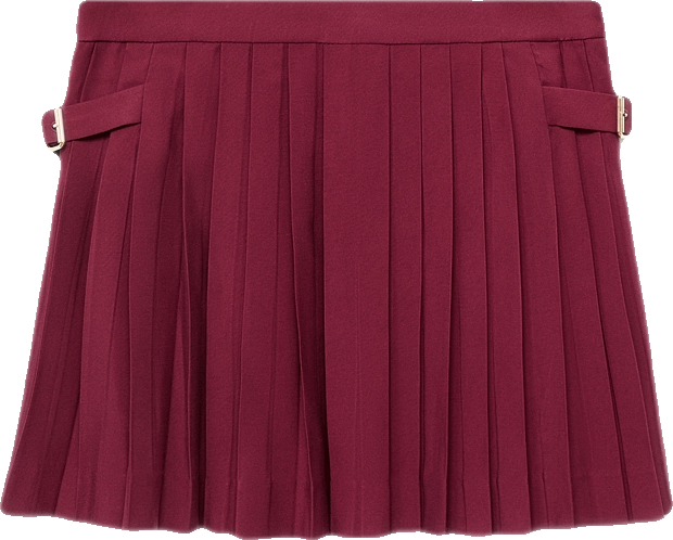 Women's Buckles Pleated Skirt