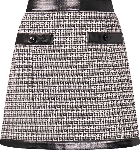 Women's Mini Skirt