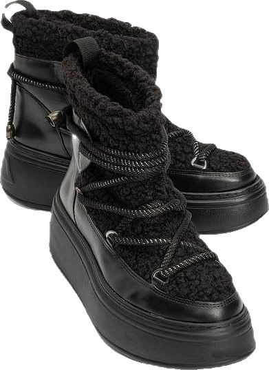 Dila Fur Lined Boot (Women)