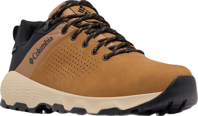 Men's Newton Nimble Leather Shoe