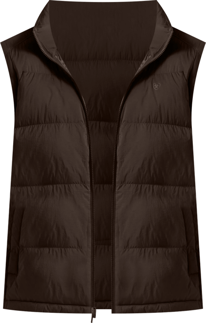 Men's UltraPuff Down Vest