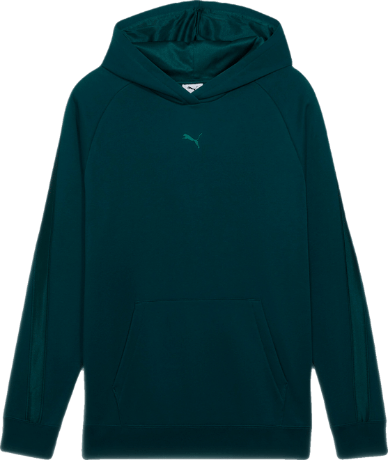PUMA Essentials Satin Women's Hoodie