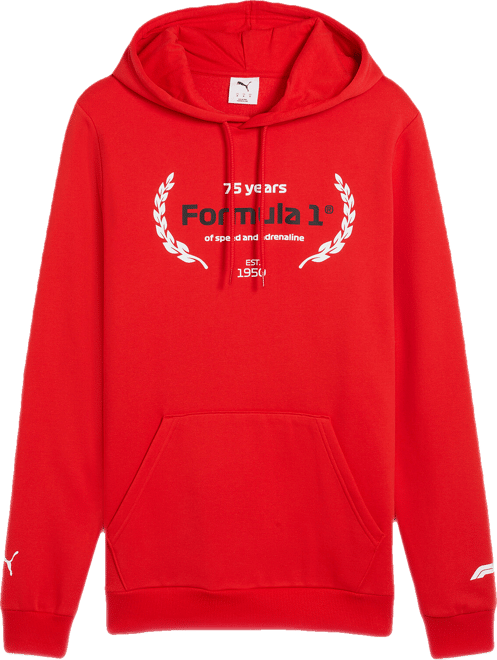 PUMA Formula 1® Motorsport Essentials Hoodie