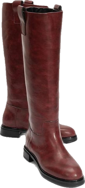 Alaska Pattern Western Boot (Women)