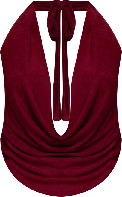 Womens Caspia Cowl Neck Backless Top