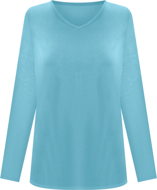 Plus Size Within Perfect Long-Sleeve V-Neck Tee