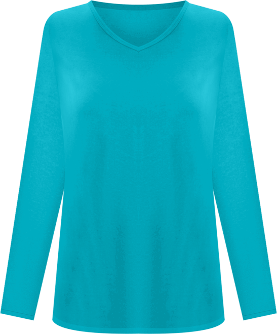 Plus Size Within Perfect Long-Sleeve V-Neck Tee