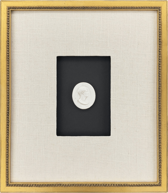 Framed Intaglio I – Magnolia
