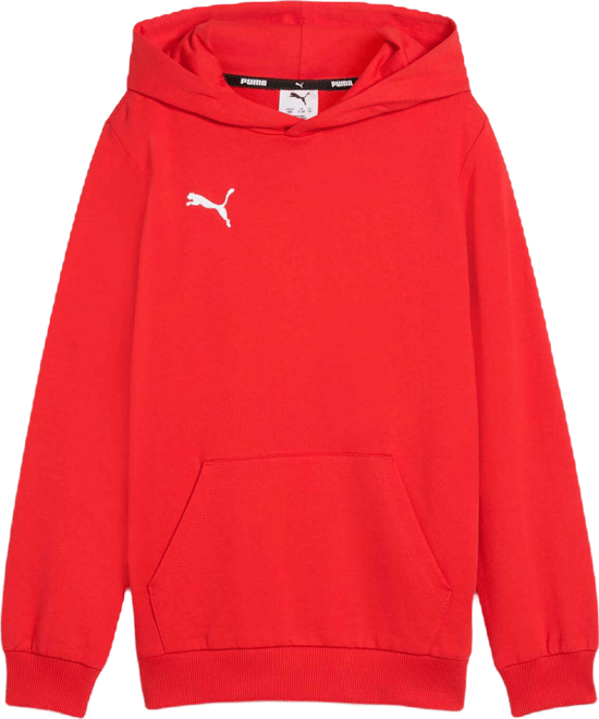 PUMA teamGOAL Big Kids' Soccer Hoodie Shoes