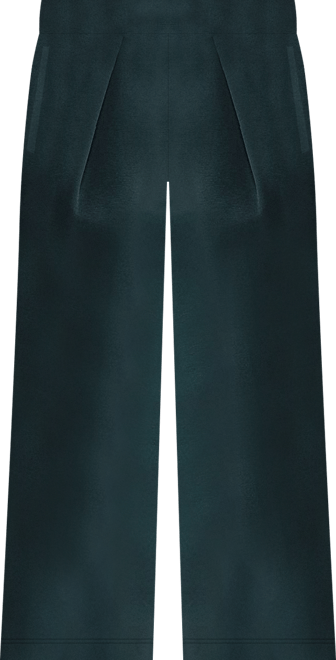 Nike Sportswear Tech Fleece Women's High-Waisted Pleated Pants