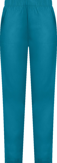 Women's Within Straight Leg Fineline Pull-On Stretch Denim Jeans