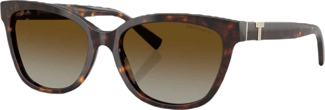 Women's Large Sunglasses, TF4237B