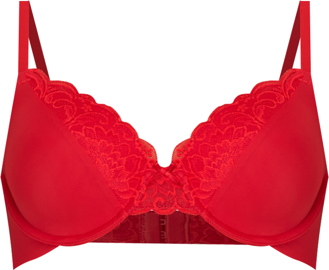 Women's Comfort Devotion Extra Coverage Lace Shaping Underwire Bra 9404