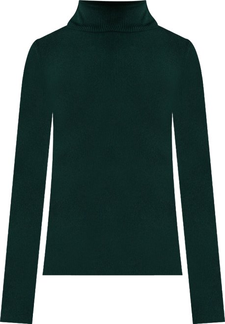 Ribbed Turtleneck Sweater