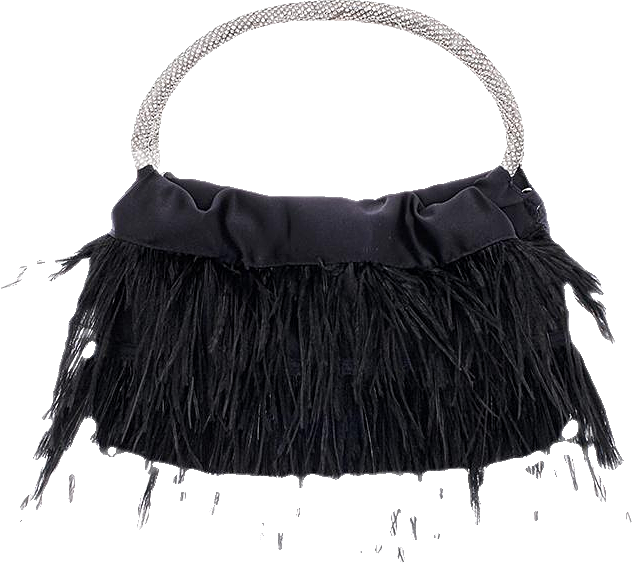 Crystal Handle Feather Pouch